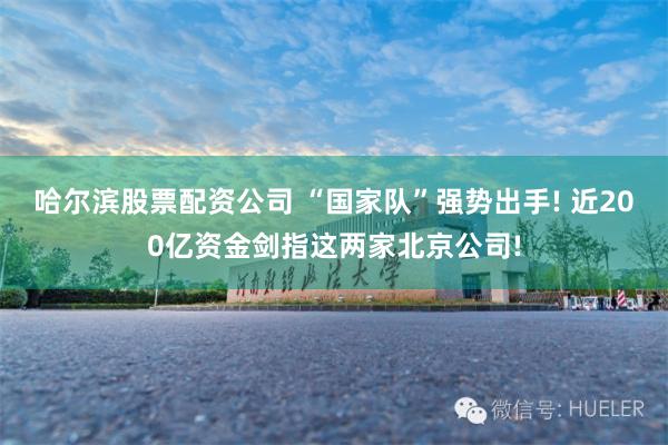 哈尔滨股票配资公司 “国家队”强势出手! 近200亿资金剑指这两家北京公司!