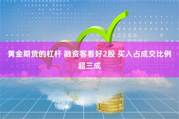 黄金期货的杠杆 融资客看好2股 买入占成交比例超三成