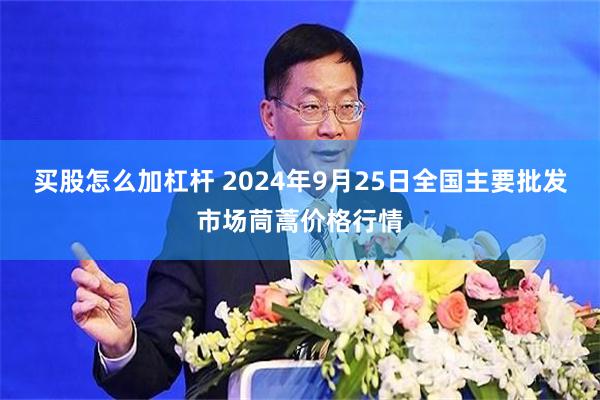 买股怎么加杠杆 2024年9月25日全国主要批发市场茼蒿价格行情