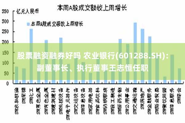 股票融资融券好吗 农业银行(601288.SH)：副董事长、执行董事王志恒任职