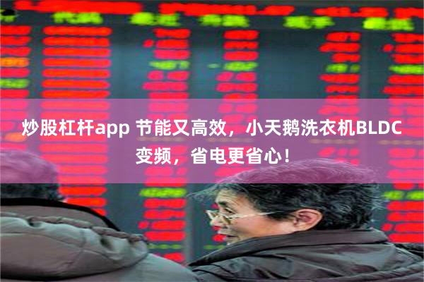 炒股杠杆app 节能又高效，小天鹅洗衣机BLDC变频，省电更省心！