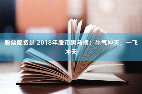 股票配资是 2018年股市黑马榜：牛气冲天，一飞冲天