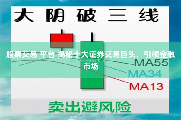 股票交易 平台 揭秘十大证券交易巨头，引领金融市场