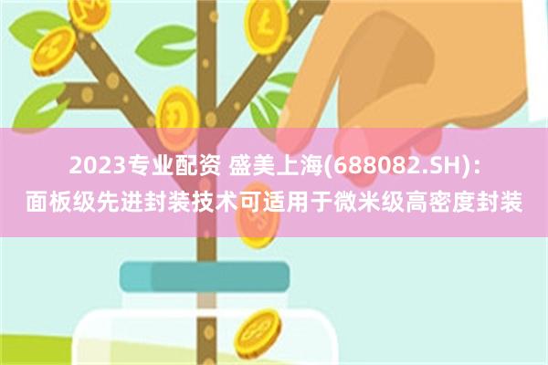 2023专业配资 盛美上海(688082.SH)：面板级先进封装技术可适用于微米级高密度封装