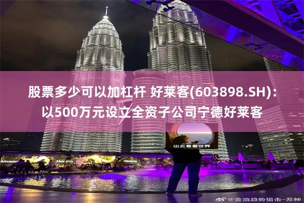 股票多少可以加杠杆 好莱客(603898.SH)：以500万元设立全资子公司宁德好莱客