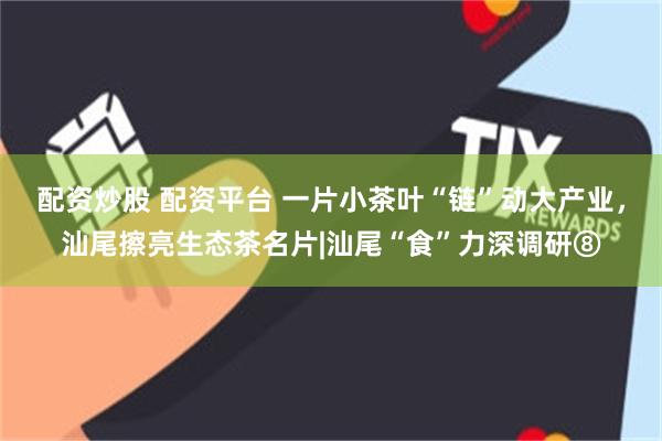 配资炒股 配资平台 一片小茶叶“链”动大产业，汕尾擦亮生态茶名片|汕尾“食”力深调研⑧
