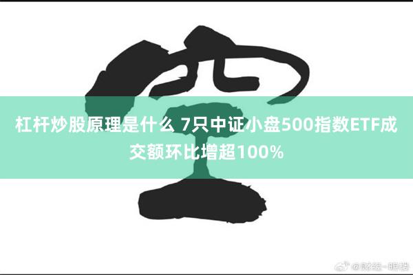 杠杆炒股原理是什么 7只中证小盘500指数ETF成交额环比增超100%