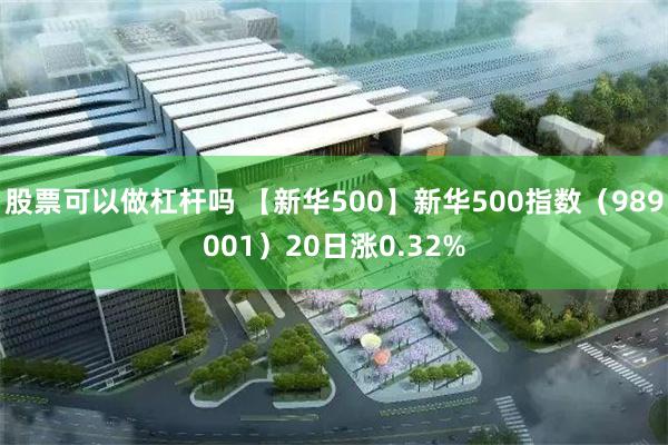 股票可以做杠杆吗 【新华500】新华500指数（989001）20日涨0.32%