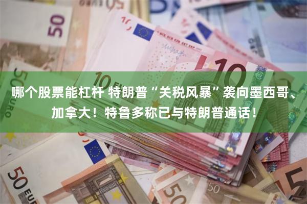 哪个股票能杠杆 特朗普“关税风暴”袭向墨西哥、加拿大！特鲁多称已与特朗普通话！