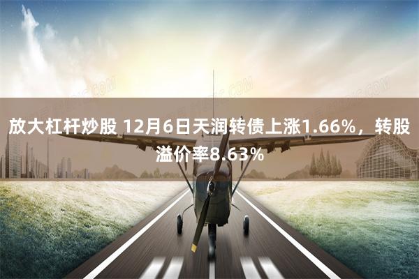 放大杠杆炒股 12月6日天润转债上涨1.66%，转股溢价率8.63%
