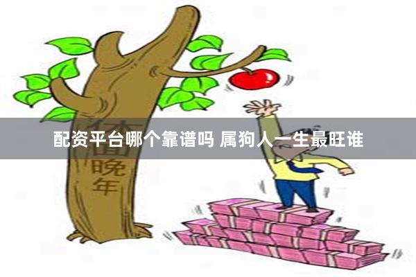 配资平台哪个靠谱吗 属狗人一生最旺谁