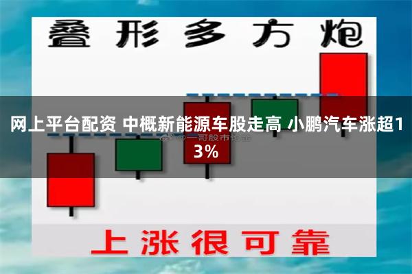 网上平台配资 中概新能源车股走高 小鹏汽车涨超13%