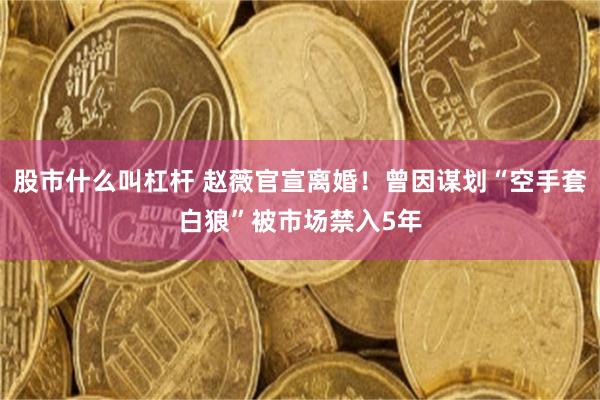 股市什么叫杠杆 赵薇官宣离婚！曾因谋划“空手套白狼”被市场禁入5年