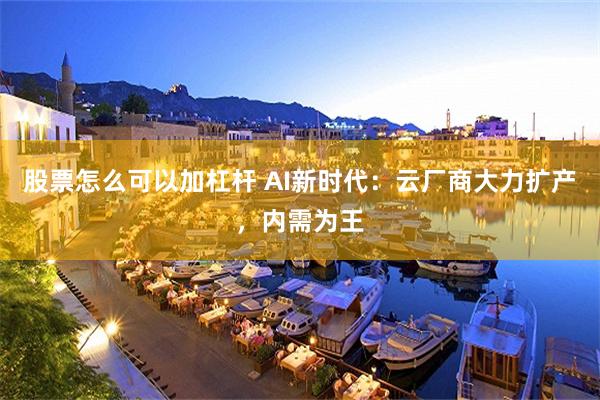 股票怎么可以加杠杆 AI新时代：云厂商大力扩产，内需为王