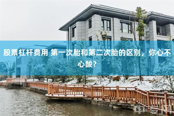 股票杠杆费用 第一次胎和第二次胎的区别，你心不心酸？