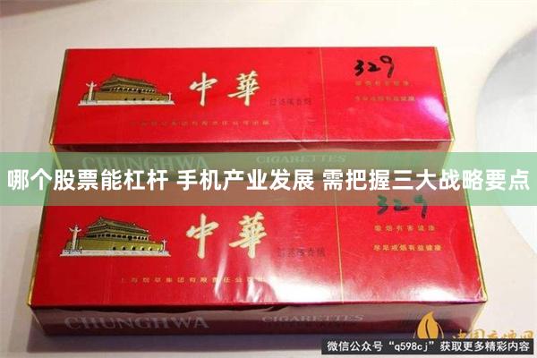 哪个股票能杠杆 手机产业发展 需把握三大战略要点