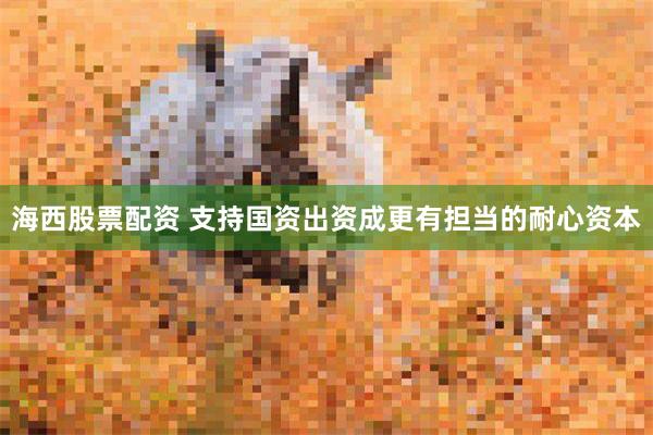 海西股票配资 支持国资出资成更有担当的耐心资本
