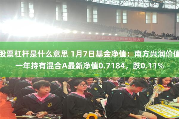股票杠杆是什么意思 1月7日基金净值：南方兴润价值一年持有混合A最新净值0.7184，跌0.11%