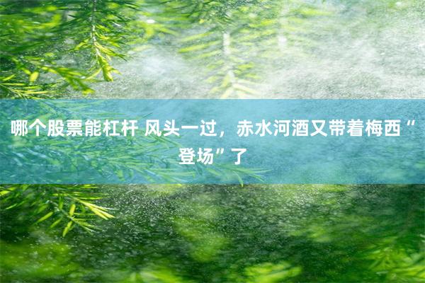 哪个股票能杠杆 风头一过，赤水河酒又带着梅西“登场”了