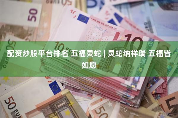 配资炒股平台排名 五福灵蛇 | 灵蛇纳祥瑞 五福皆如愿