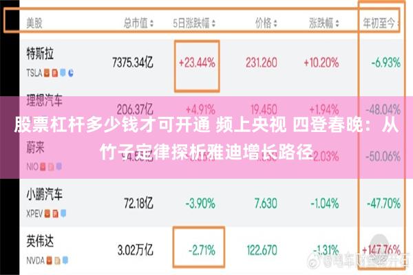 股票杠杆多少钱才可开通 频上央视 四登春晚：从竹子定律探析雅迪增长路径