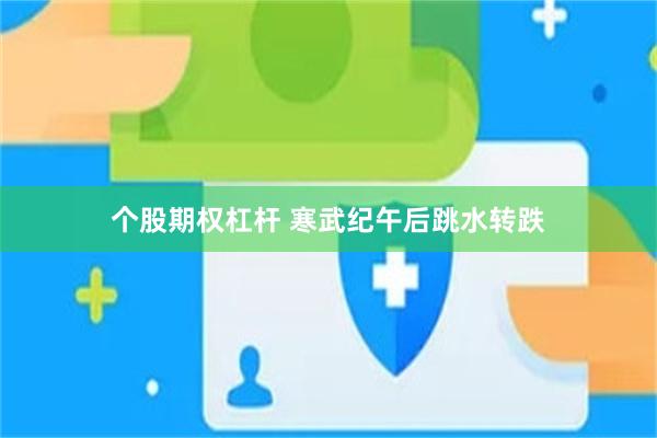 个股期权杠杆 寒武纪午后跳水转跌