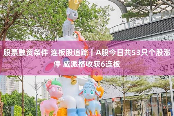 股票融资条件 连板股追踪丨A股今日共53只个股涨停 威派格收获6连板