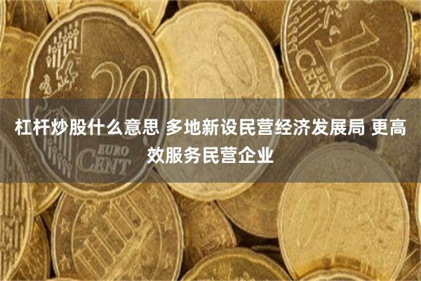 杠杆炒股什么意思 多地新设民营经济发展局 更高效服务民营企业
