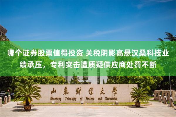 哪个证券股票值得投资 关税阴影高悬汉桑科技业绩承压，专利突击遭质疑供应商处罚不断