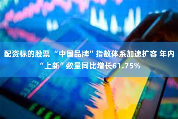 配资标的股票 “中国品牌”指数体系加速扩容 年内“上新”数量同比增长61.75%