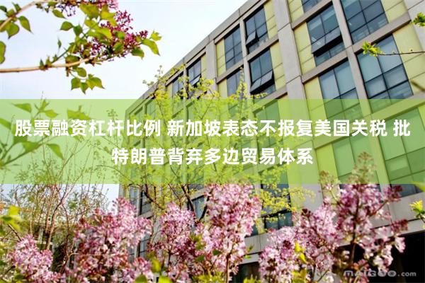 股票融资杠杆比例 新加坡表态不报复美国关税 批特朗普背弃多边贸易体系