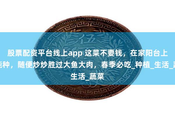 股票配资平台线上app 这菜不要钱，在家阳台上就能种，随便炒炒胜过大鱼大肉，春季必吃_种植_生活_蔬菜