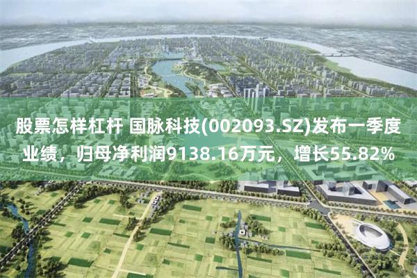 股票怎样杠杆 国脉科技(002093.SZ)发布一季度业绩，归母净利润9138.16万元，增长55.82%