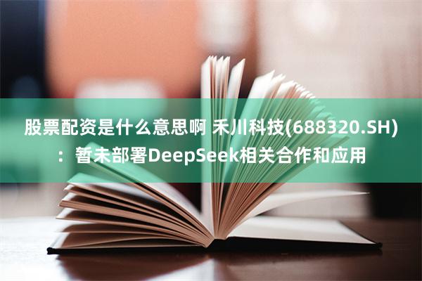 股票配资是什么意思啊 禾川科技(688320.SH)：暂未部署DeepSeek相关合作和应用
