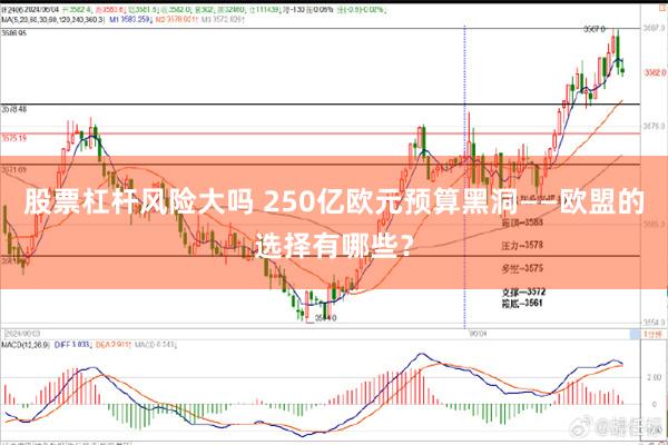 股票杠杆风险大吗 250亿欧元预算黑洞——欧盟的选择有哪些？