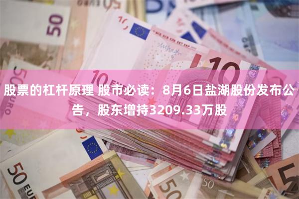 股票的杠杆原理 股市必读：8月6日盐湖股份发布公告，股东增持3209.33万股