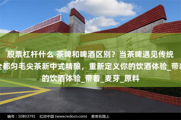 股票杠杆什么 茶啤和啤酒区别？当茶啤遇见传统啤酒：张子全都匀毛尖茶新中式精酿，重新定义你的饮酒体验_带着_麦芽_原料