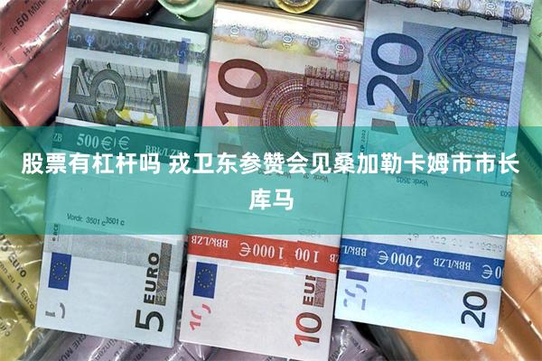 股票有杠杆吗 戎卫东参赞会见桑加勒卡姆市市长库马