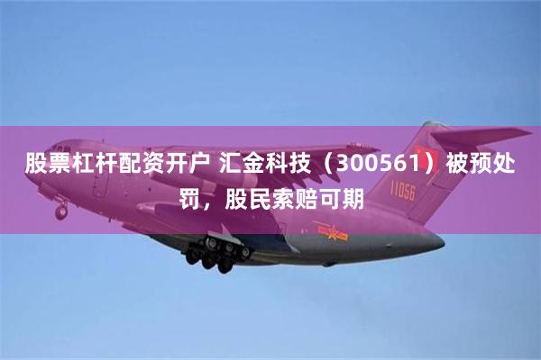 股票杠杆配资开户 汇金科技（300561）被预处罚，股民索赔可期
