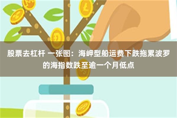 股票去杠杆 一张图：海岬型船运费下跌拖累波罗的海指数跌至逾一个月低点
