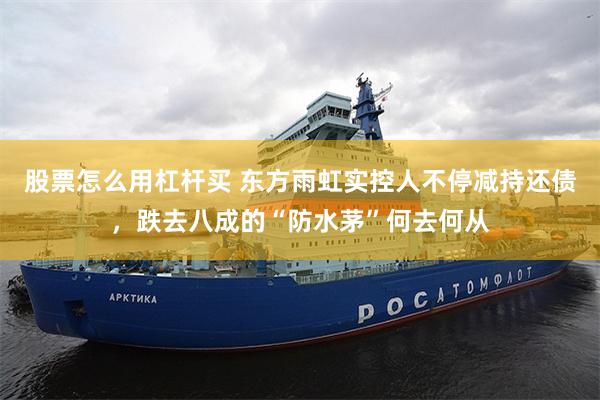 股票怎么用杠杆买 东方雨虹实控人不停减持还债，跌去八成的“防水茅”何去何从