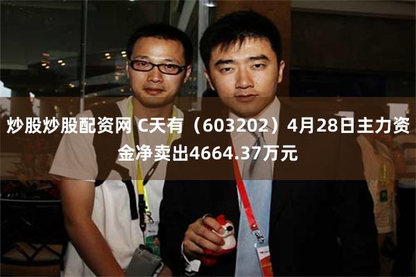 炒股炒股配资网 C天有（603202）4月28日主力资金净卖出4664.37万元