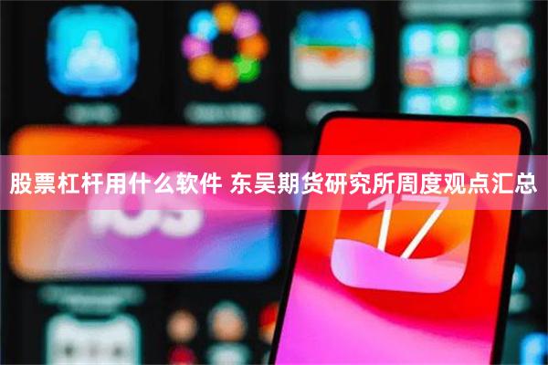 股票杠杆用什么软件 东吴期货研究所周度观点汇总