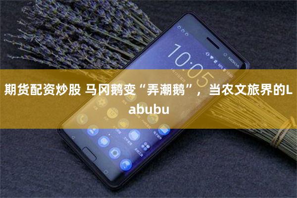 期货配资炒股 马冈鹅变“弄潮鹅”，当农文旅界的Labubu