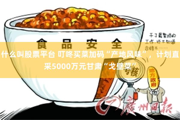 什么叫股票平台 叮咚买菜加码“产地风味”，计划直采5000万元甘肃“戈壁菜”