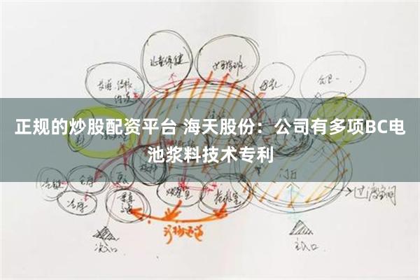正规的炒股配资平台 海天股份：公司有多项BC电池浆料技术专利