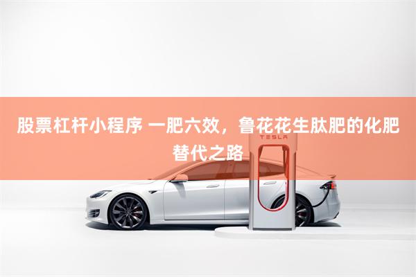 股票杠杆小程序 一肥六效，鲁花花生肽肥的化肥替代之路