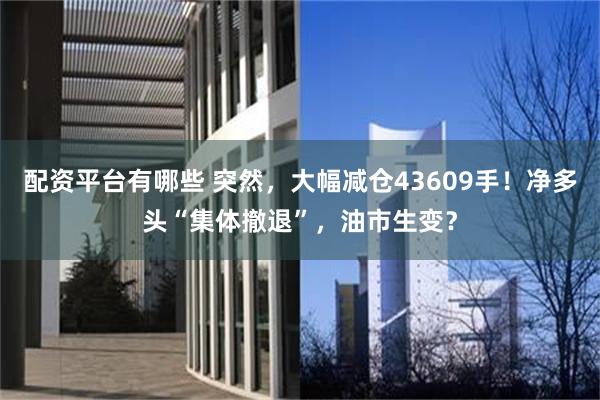 配资平台有哪些 突然，大幅减仓43609手！净多头“集体撤退”，油市生变？