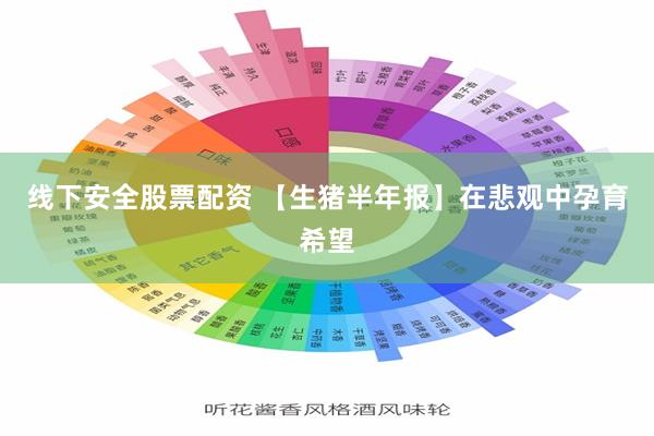 线下安全股票配资 【生猪半年报】在悲观中孕育希望