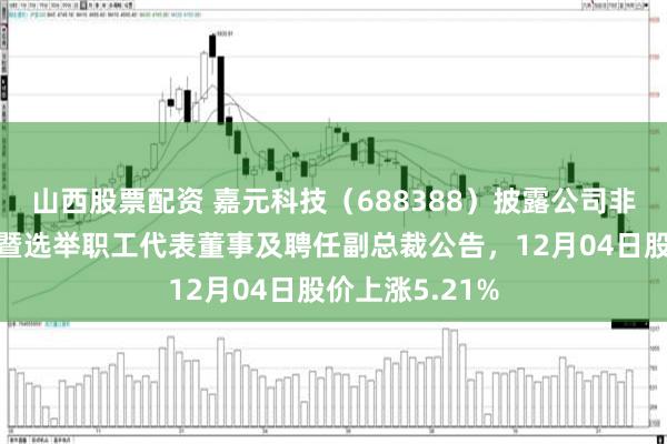 山西股票配资 嘉元科技（688388）披露公司非独立董事离任暨选举职工代表董事及聘任副总裁公告，12月04日股价上涨5.21%
